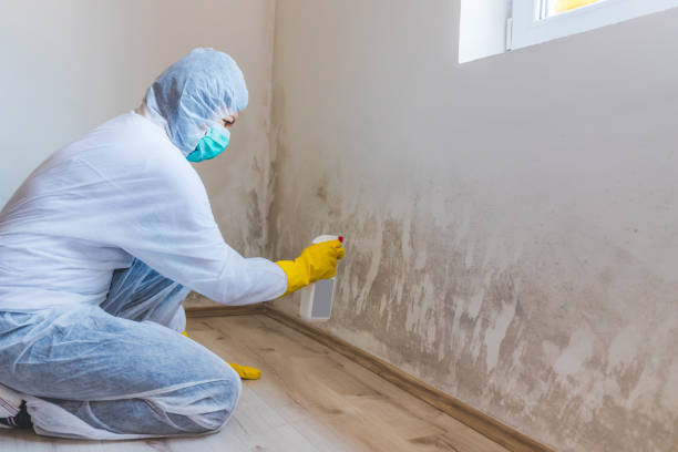 Commercial Mold Remediation assessment for commercial property in Youngtown